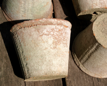 4er Set Pflanztöpfetöpfe mit Ablaufloch, im antiken Landhaus-Stil gestaltet, mit künstlichen Alterungsspuren versehen. Ideal zur Pflanzenanzucht oder einfach als Deko für Balkon und Garten. Aus Terrakotta mit Patina.  Maße je Blumentopf: Höhe 10 cm, Ø obe