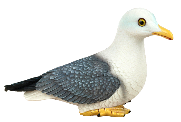 - Kopie - Kopie - Kopie