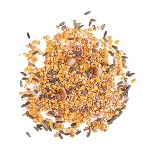 2 Kg Eichhörnchenfutter im Kunstoffeimer  Das Eichhörnchenfutter ist eine ausgewogene Futtermischung für wilde Eichhörnchen, die ihr eigenes Futter ergänzt. Verwenden Sie diese Mischung und keine Essensreste, gesalzenen Nüsse, Brot, Kekse oder Milch. Es i
