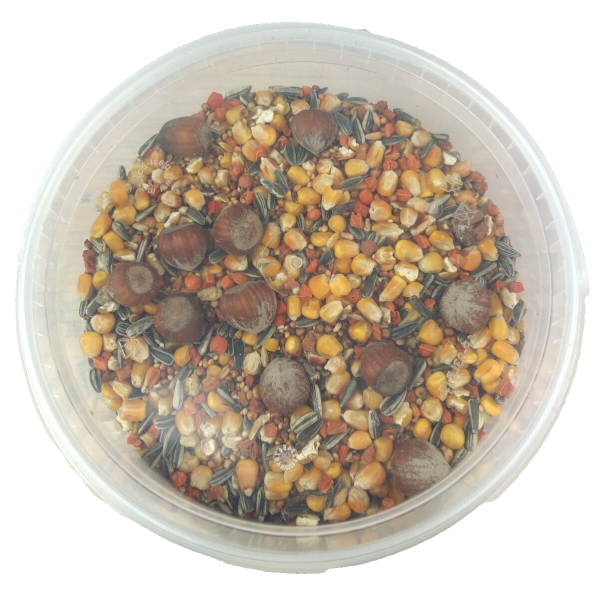 4x Wildvogelfutter Erdnussbutter Waldfrucht (Heidelbeere) im PET Glas   Vogel-Erdnussbutter ist ein wahrer Leckerbissen für Vögel! Es enthält gute Nährstoffe für Vögel, ist kalorienreich, nahrhaft und gesund. Normale Erdnussbutter enthält viel zu viel Sal